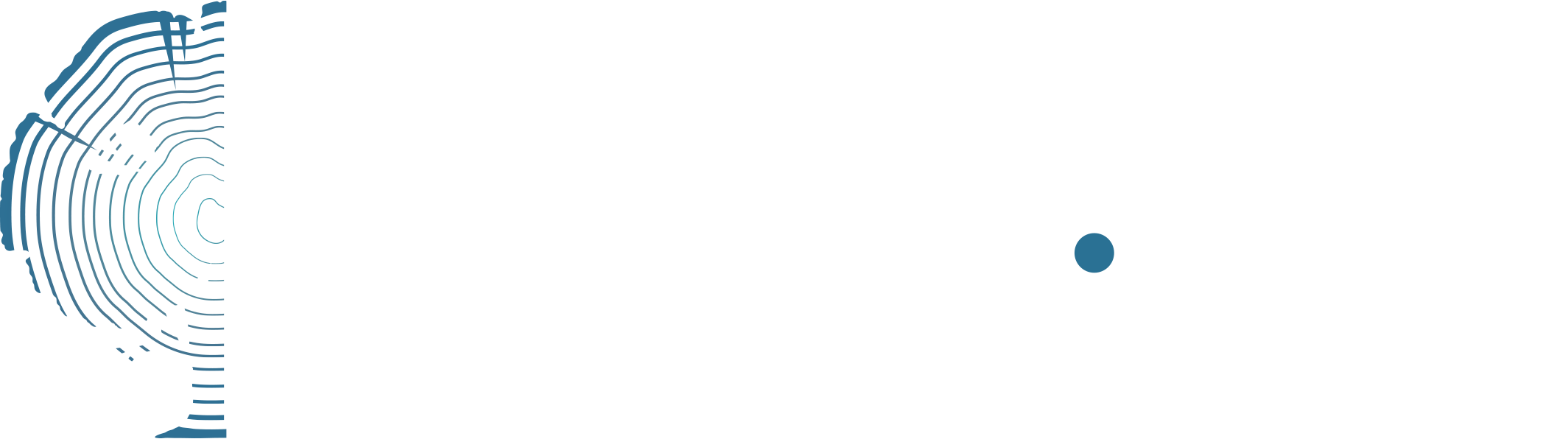 Cambium Media